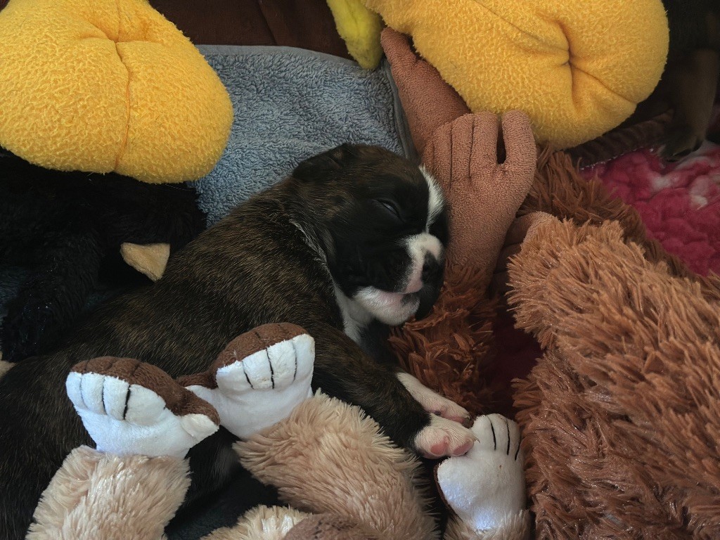 Les bébés ont presque 3 semaines !!